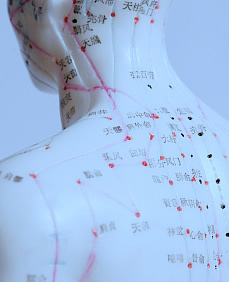 Acupuncture - Relax, Heal, and Rejuvenate